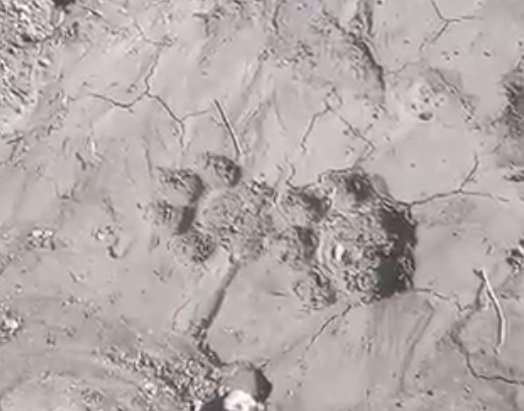 Screenshot_2023-01-15-16-05-14-53_99c04817c0de5652397fc8b56c3b3817