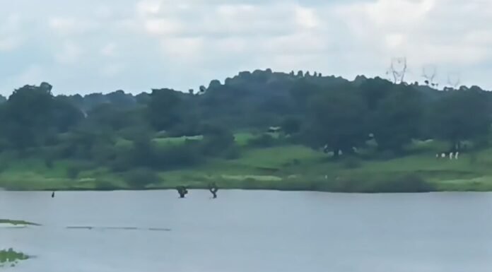 आखिर किसका का है क्षत विक्षप्त शव ? मृतक युवक की उम्र 25 से 30 साल , जांच पड़ताल शुरू