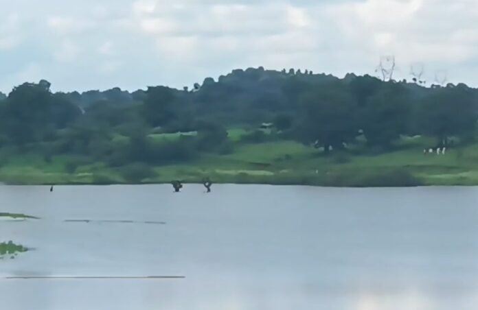 Screenshot_2024-08-13-22-29-20-66_99c04817c0de5652397fc8b56c3b3817