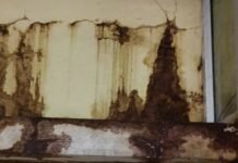 पांढुर्णा: शिक्षा कार्यालय में टपकते पानी में काम : 4 साल से नहीं हुई मरम्मत -देखे पूरी खबर…