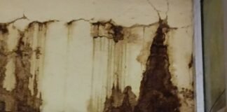 पांढुर्णा: शिक्षा कार्यालय में टपकते पानी में काम : 4 साल से नहीं हुई मरम्मत -देखे पूरी खबर…