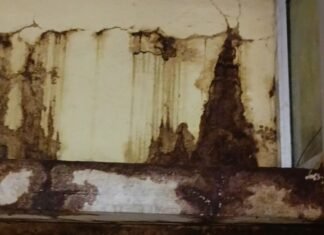 पांढुर्णा: शिक्षा कार्यालय में टपकते पानी में काम : 4 साल से नहीं हुई मरम्मत -देखे पूरी खबर…