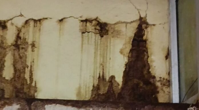 पांढुर्णा: शिक्षा कार्यालय में टपकते पानी में काम : 4 साल से नहीं हुई मरम्मत -देखे पूरी खबर…