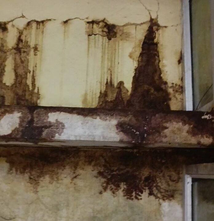 Screenshot_2025-07-05-20-57-32-45_99c04817c0de5652397fc8b56c3b3817